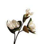 HSH - MAGNOLIA umjetno cvijeće, 72 cm, bijelo