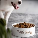 HOMLA-226449 DINGO metalna zdjelica za kućne ljubimce 1.5 l  - Slika 2