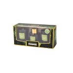 HSH - WILD SIDE set 2 mirisne svijeće 18,5 x 9 x 6,5 cm i difuzor sa štapićima